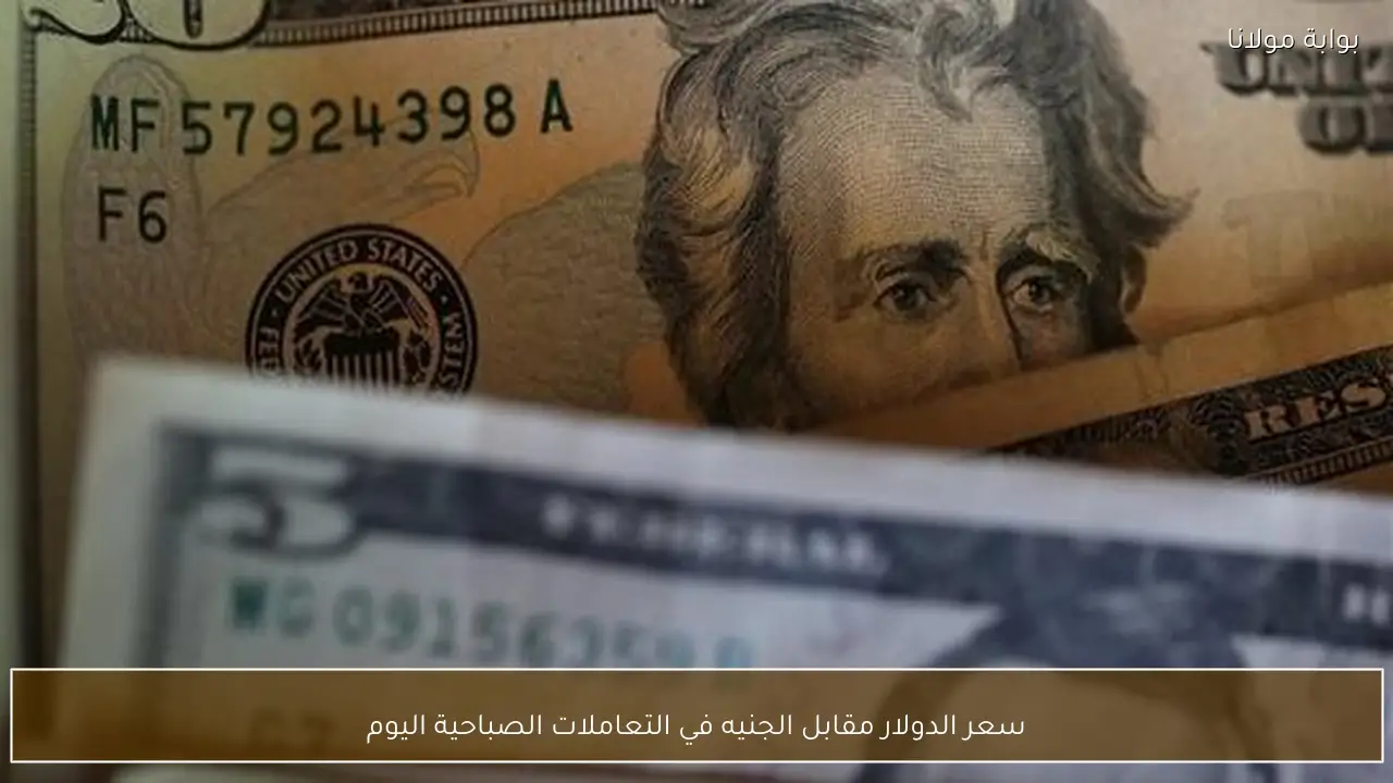 سعر الدولار مقابل الجنيه في التعاملات الصباحية اليوم