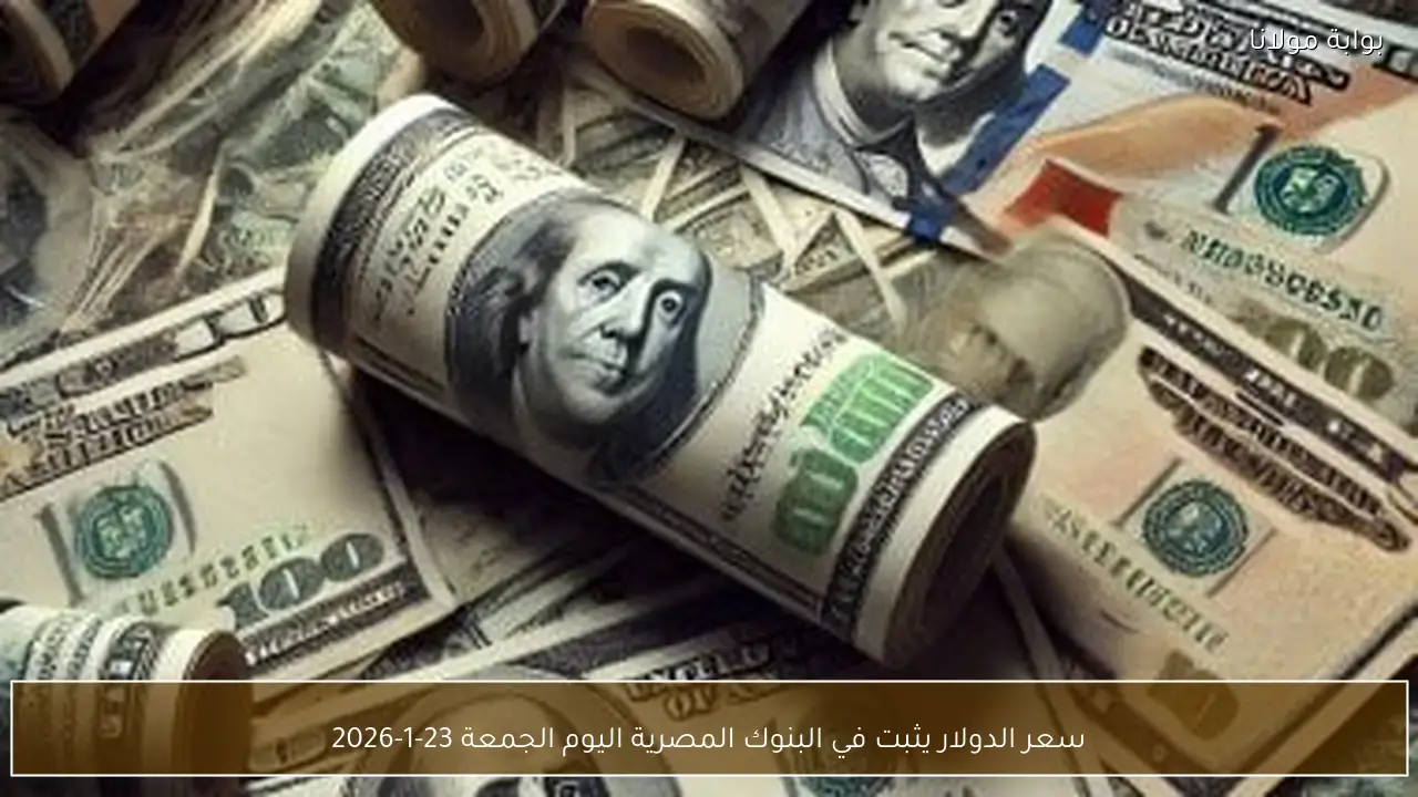 سعر الدولار يثبت في البنوك المصرية اليوم الجمعة 23-1-2026