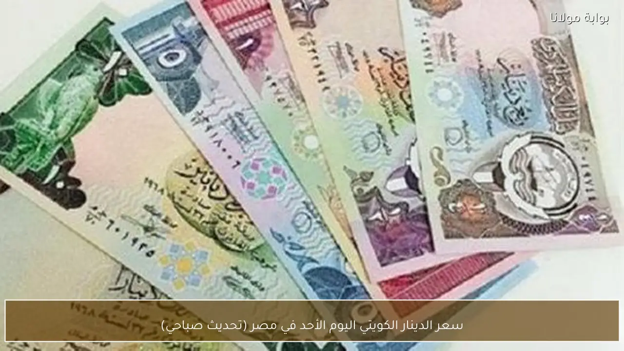 سعر الدينار الكويتي اليوم الأحد في مصر (تحديث صباحي)