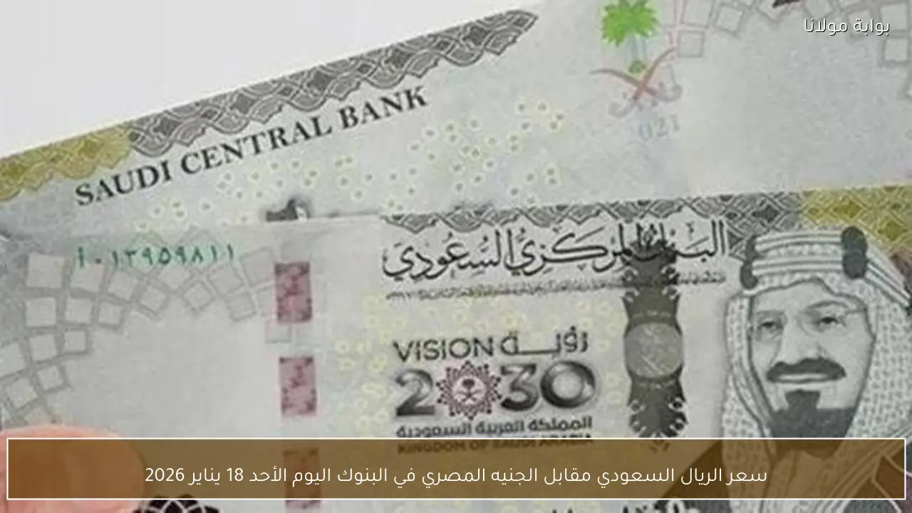 سعر الريال السعودي مقابل الجنيه المصري في البنوك اليوم الأحد 18 يناير 2026