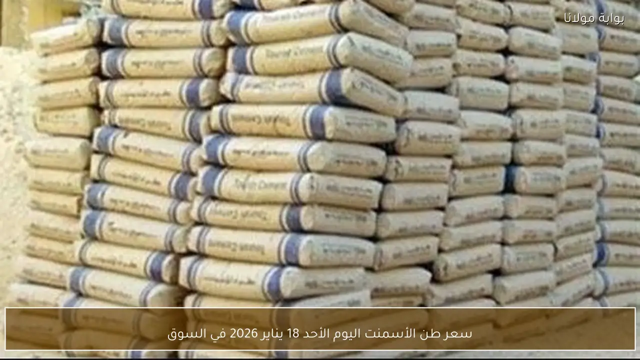 سعر طن الأسمنت اليوم الأحد 18 يناير 2026 في السوق