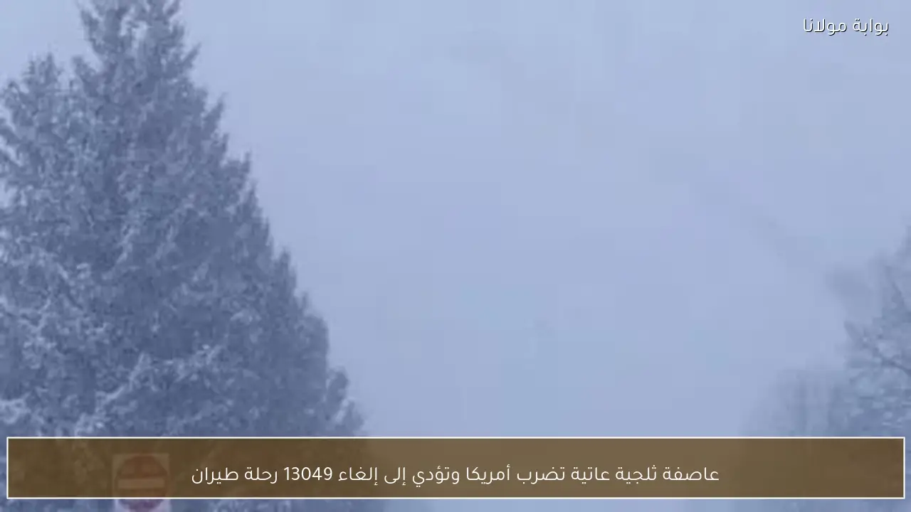 عاصفة ثلجية عاتية تضرب أمريكا وتؤدي إلى إلغاء 13049 رحلة طيران