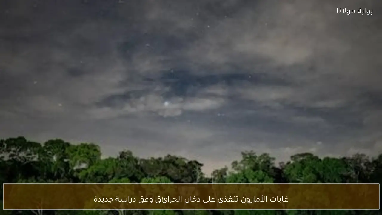 غابات الأمازون تتغذى على دخان الحرائق وفق دراسة جديدة