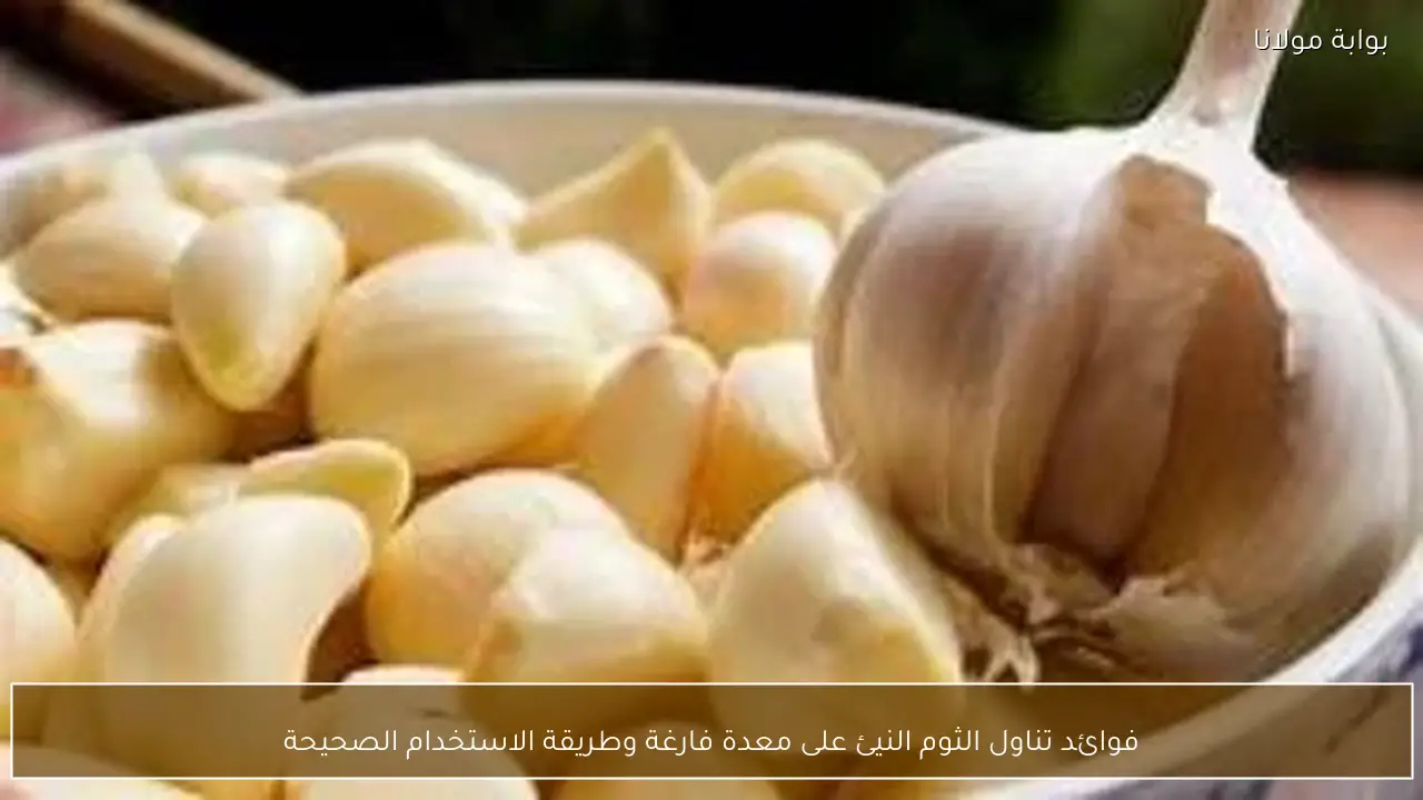 فوائد تناول الثوم النيئ على معدة فارغة وطريقة الاستخدام الصحيحة