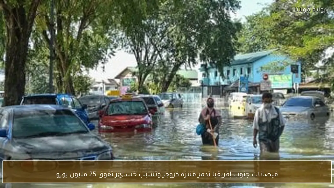 فيضانات جنوب إفريقيا تدمر متنزه كروجر وتسبب خسائر تفوق 25 مليون يورو