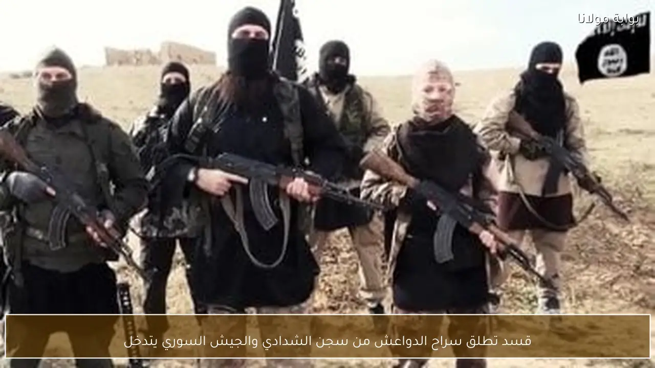 قسد تطلق سراح الدواعش من سجن الشدادي والجيش السوري يتدخل