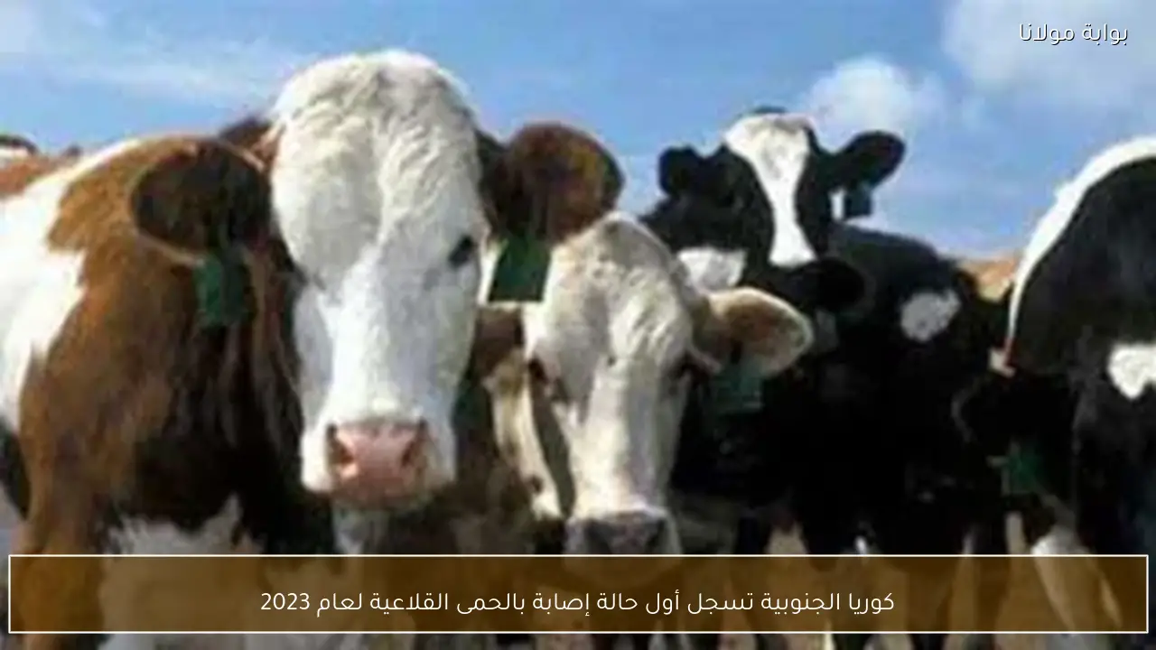 كوريا الجنوبية تسجل أول حالة إصابة بالحمى القلاعية لعام 2023