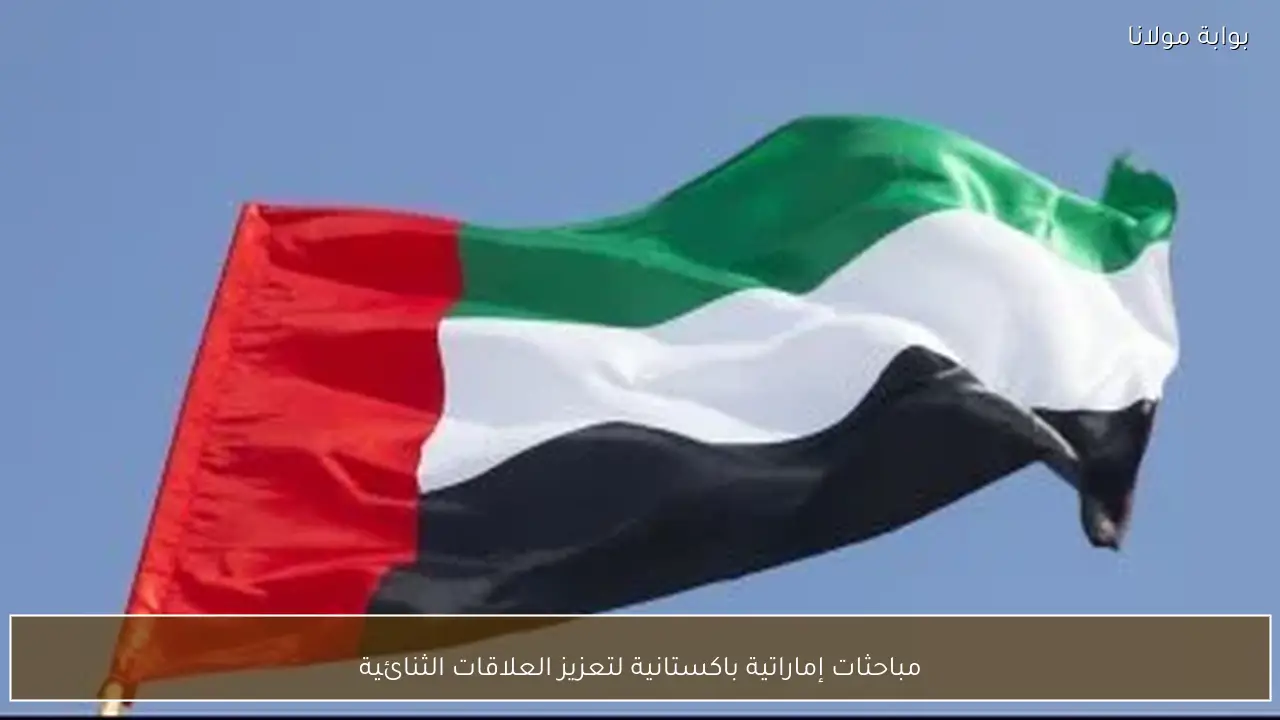 مباحثات إماراتية باكستانية لتعزيز العلاقات الثنائية