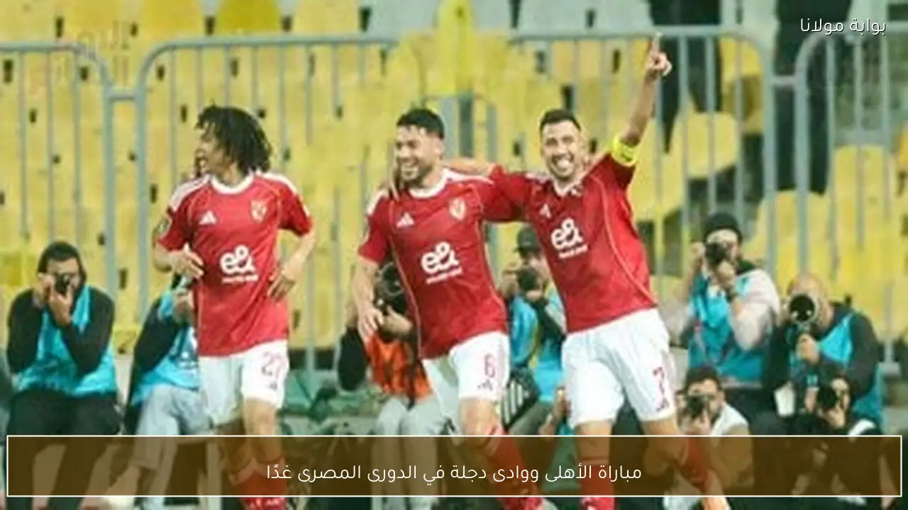 مباراة الأهلى ووادى دجلة في الدورى المصرى غدًا