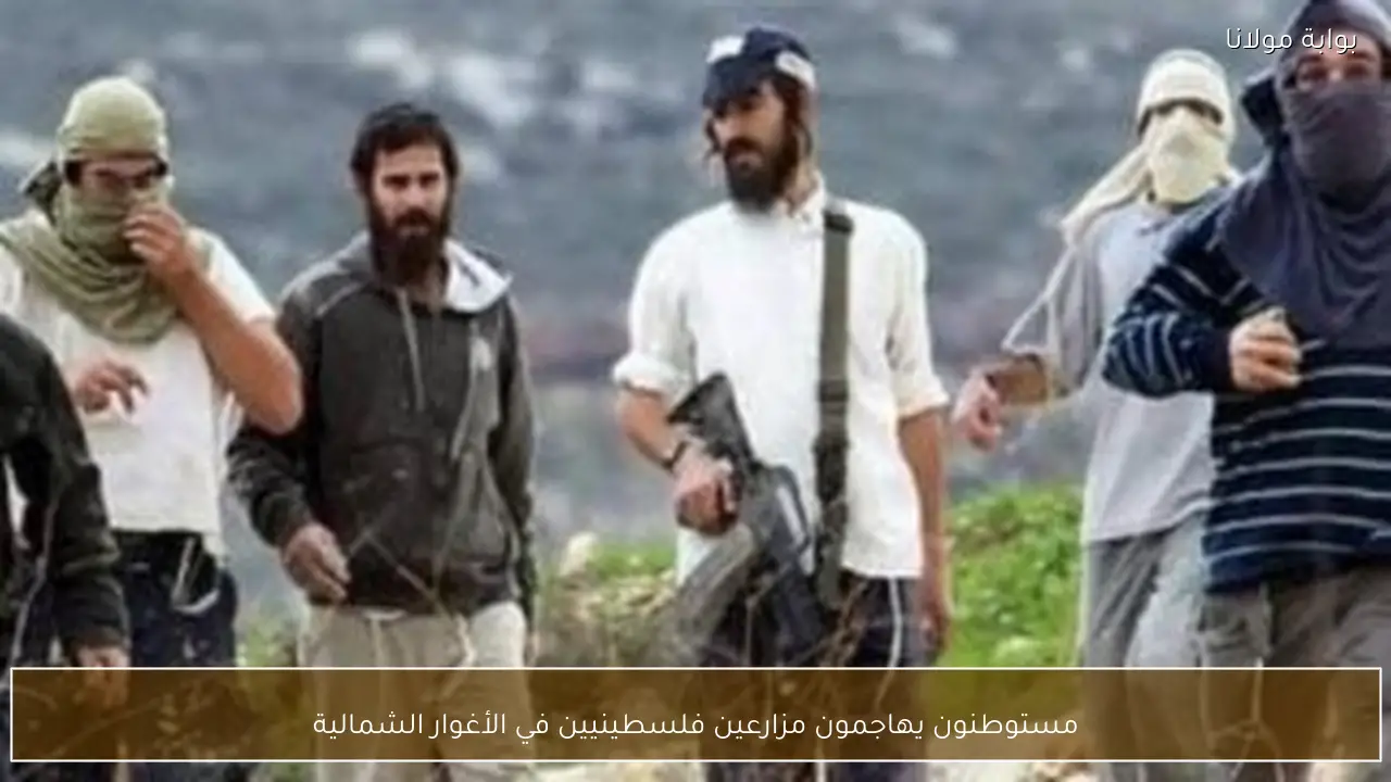 مستوطنون يهاجمون مزارعين فلسطينيين في الأغوار الشمالية
