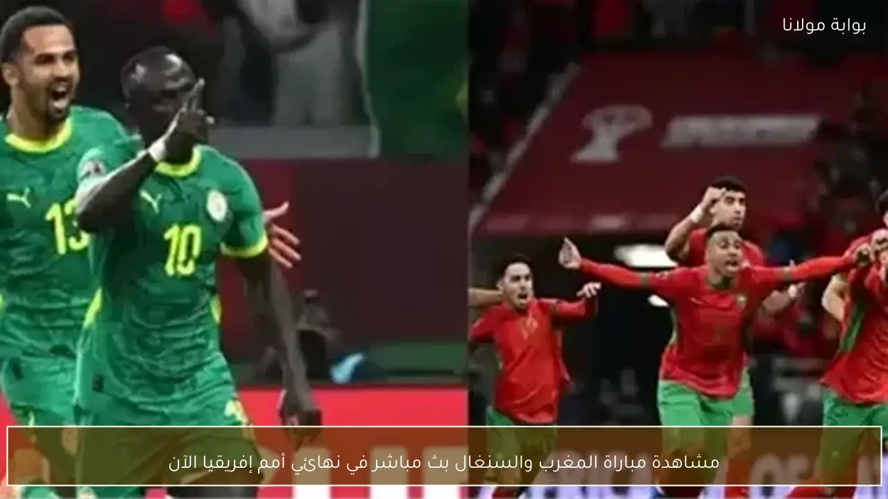 مشاهدة مباراة المغرب والسنغال بث مباشر في نهائي أمم إفريقيا الآن