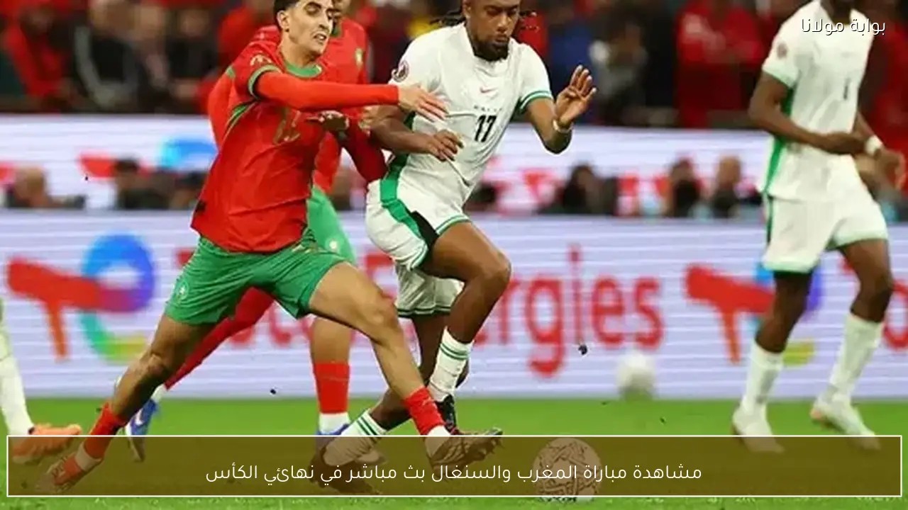 مشاهدة مباراة المغرب والسنغال بث مباشر في نهائي الكأس