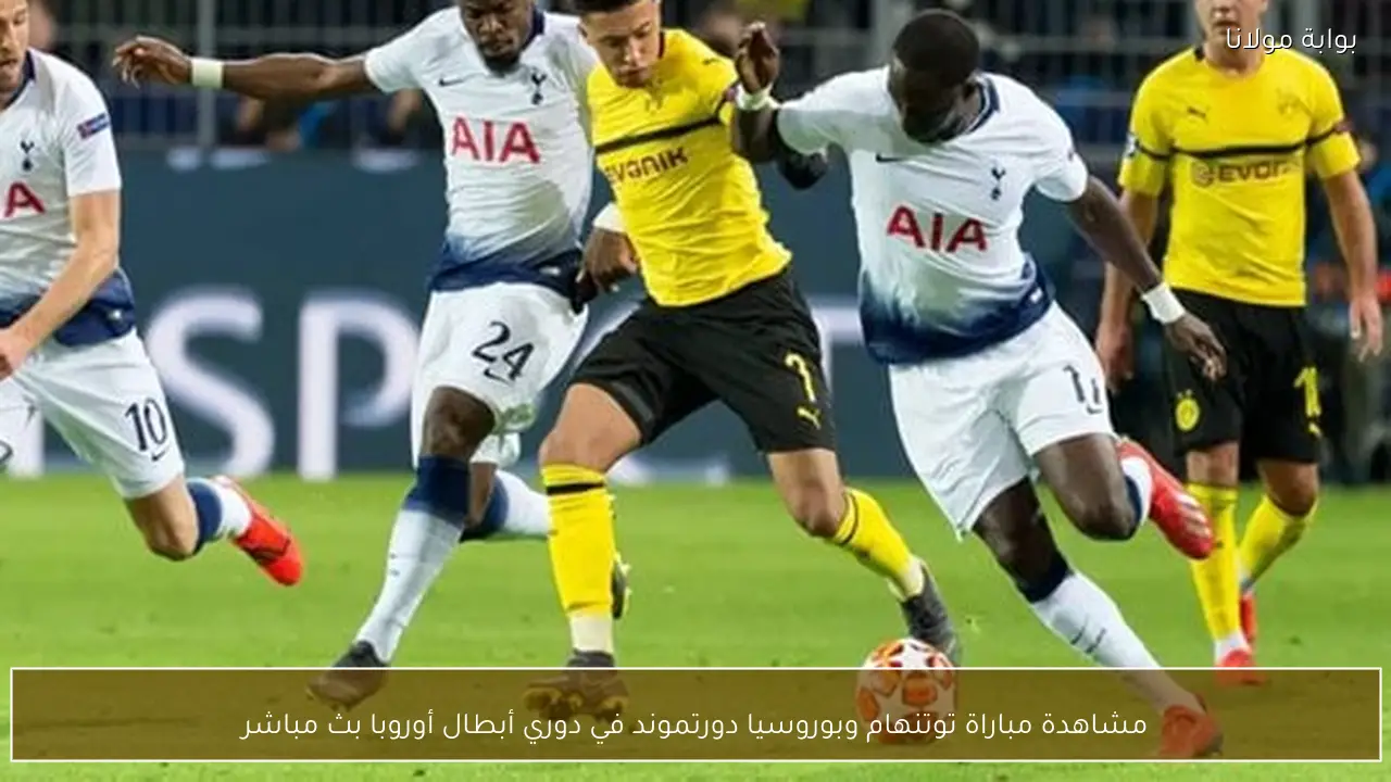 مشاهدة مباراة توتنهام وبوروسيا دورتموند في دوري أبطال أوروبا بث مباشر