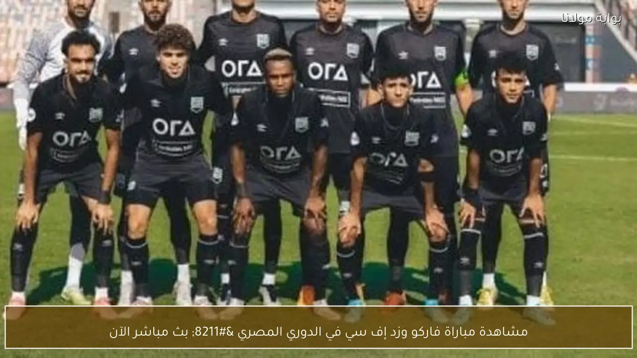 مشاهدة مباراة فاركو وزد إف سي في الدوري المصري – بث مباشر الآن