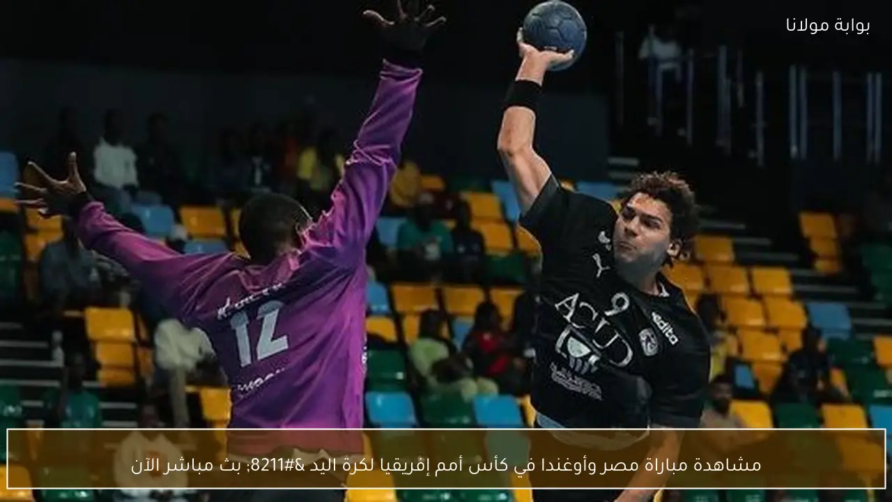 مشاهدة مباراة مصر وأوغندا في كأس أمم إفريقيا لكرة اليد – بث مباشر الآن