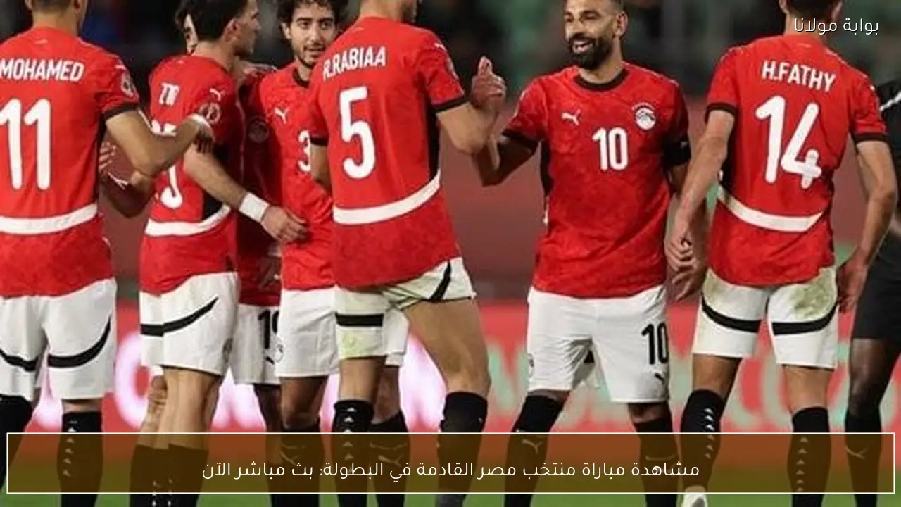 مشاهدة مباراة منتخب مصر القادمة في البطولة: بث مباشر الآن