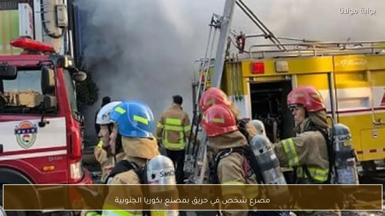 مصرع شخص في حريق بمصنع بكوريا الجنوبية