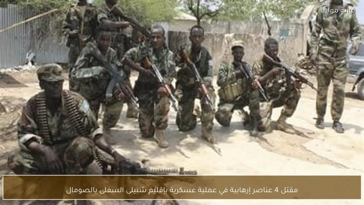 مقتل 4 عناصر إرهابية في عملية عسكرية بإقليم شبيلى السفلى بالصومال