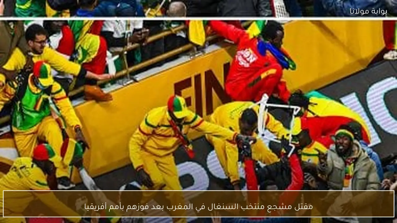مقتل مشجع منتخب السنغال في المغرب بعد فوزهم بأمم أفريقيا