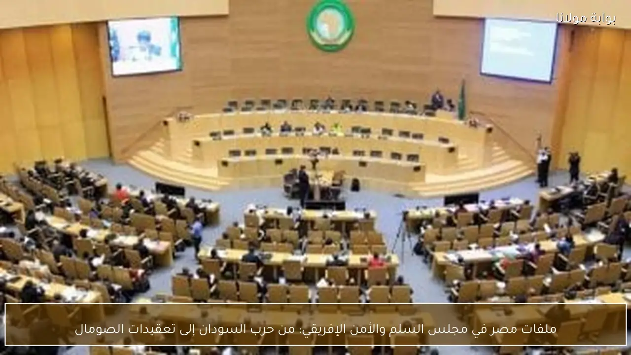 ملفات مصر في مجلس السلم والأمن الإفريقي: من حرب السودان إلى تعقيدات الصومال