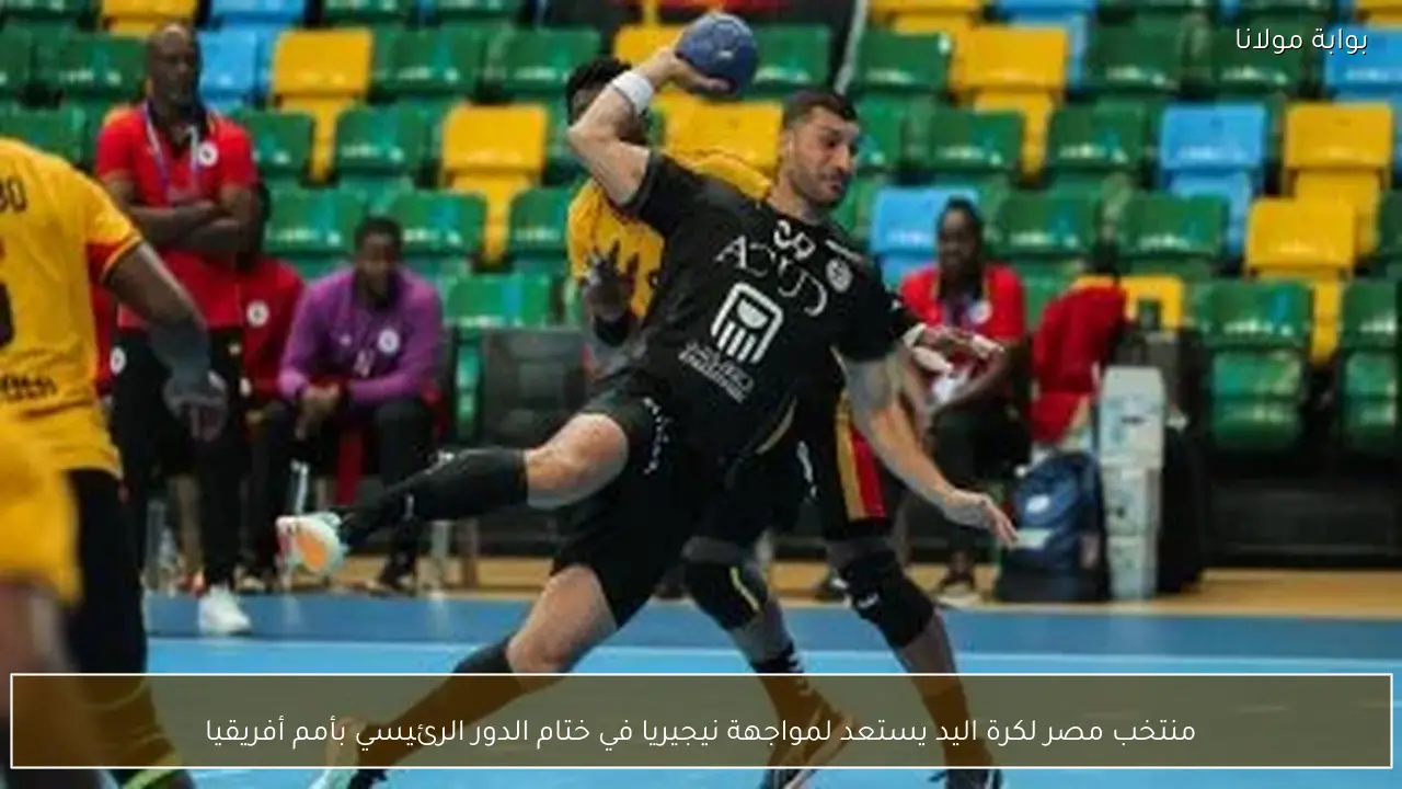 منتخب مصر لكرة اليد يستعد لمواجهة نيجيريا في ختام الدور الرئيسي بأمم أفريقيا