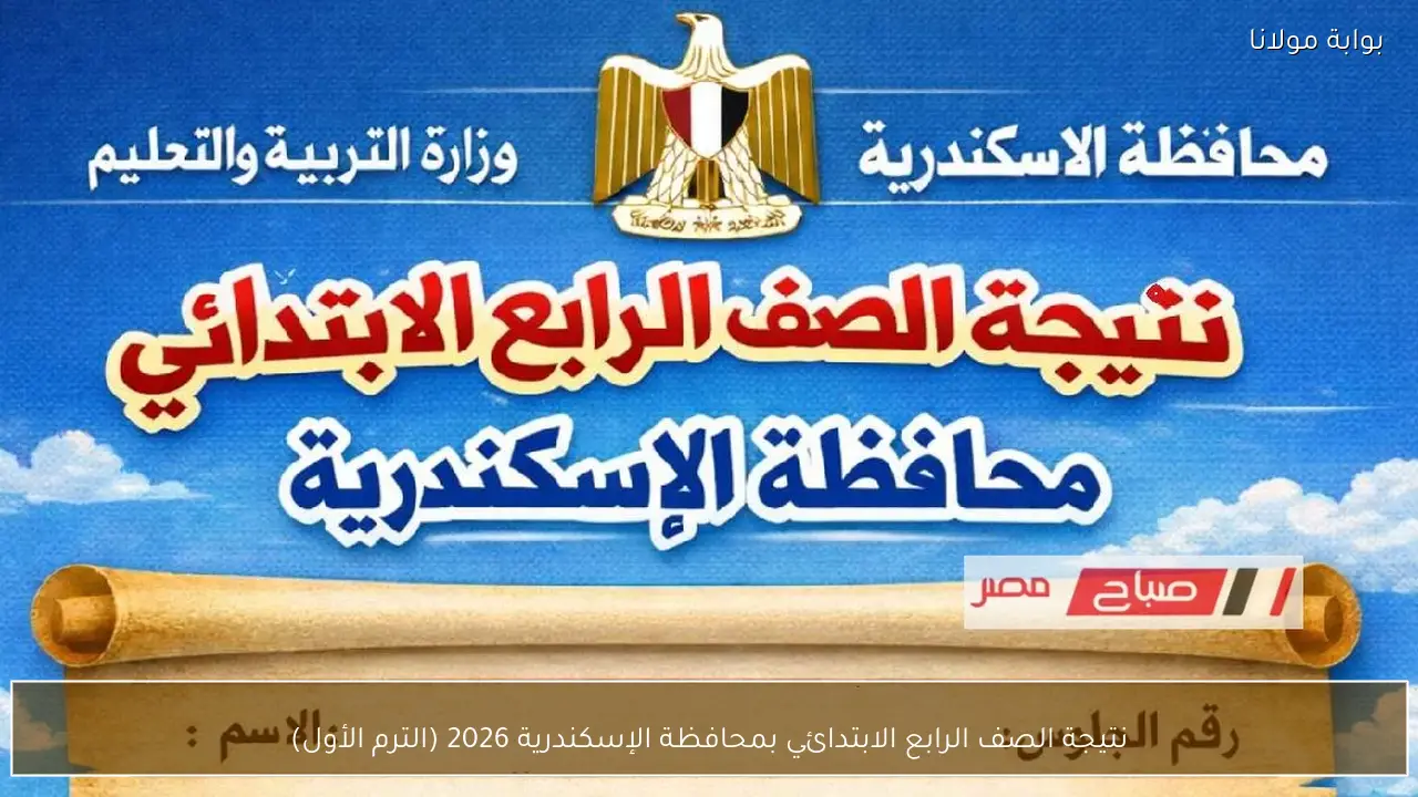 نتيجة الصف الرابع الابتدائي بمحافظة الإسكندرية 2026 (الترم الأول)