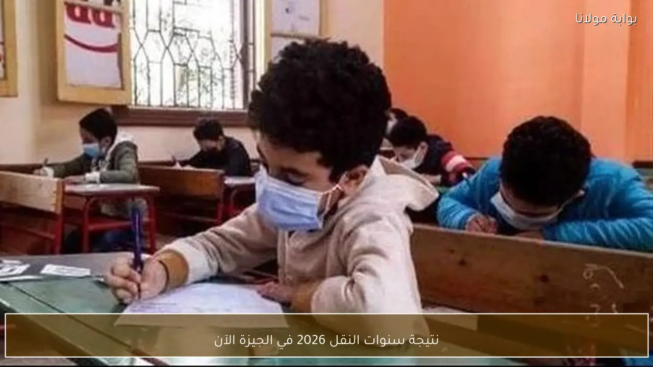 نتيجة سنوات النقل 2026 في الجيزة الآن