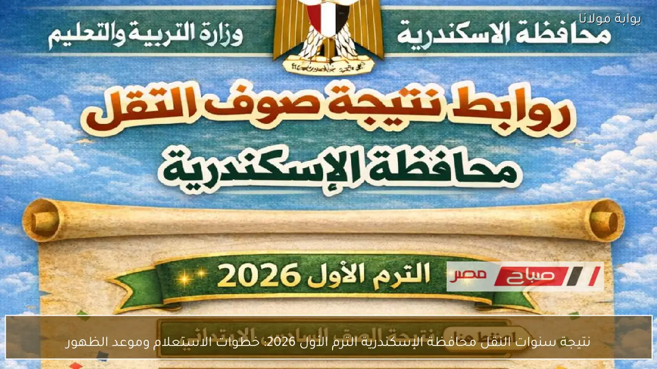 نتيجة سنوات النقل محافظة الإسكندرية الترم الأول 2026: خطوات الاستعلام وموعد الظهور