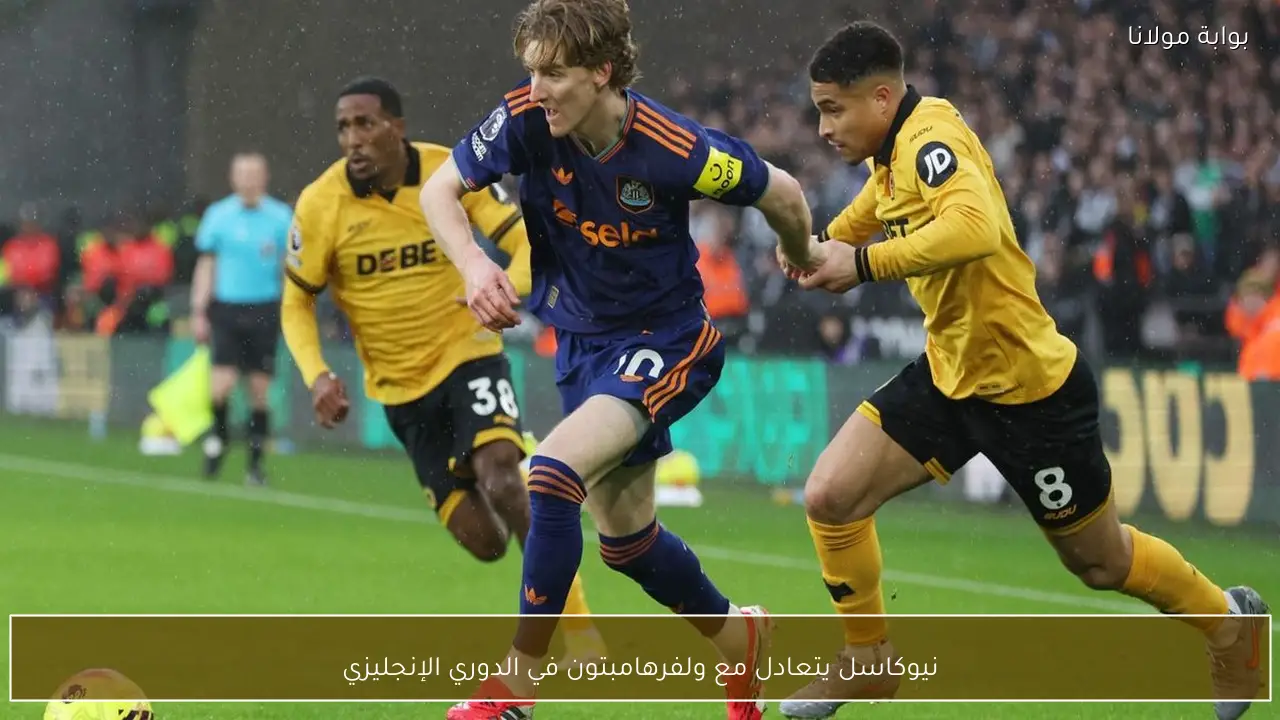 نيوكاسل يتعادل مع ولفرهامبتون في الدوري الإنجليزي
