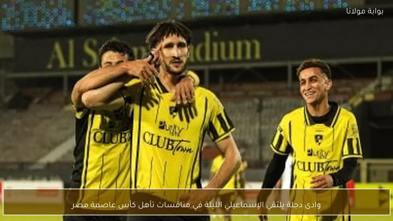 وادى دجلة يلتقي الإسماعيلي الليلة في منافسات تأهل كأس عاصمة مصر