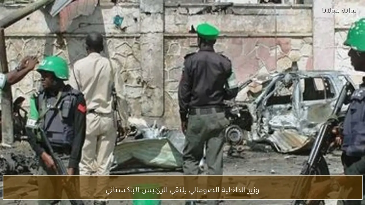 وزير الداخلية الصومالي يلتقي الرئيس الباكستاني