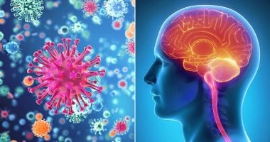 تحذيرات أمريكية من إصابات جديدة بالالتهاب السحائى.. الأعراض والوقاية تحذيرات أمريكية من إصابات جديدة بالالتهاب السحائى.. الأعراض والوقاية