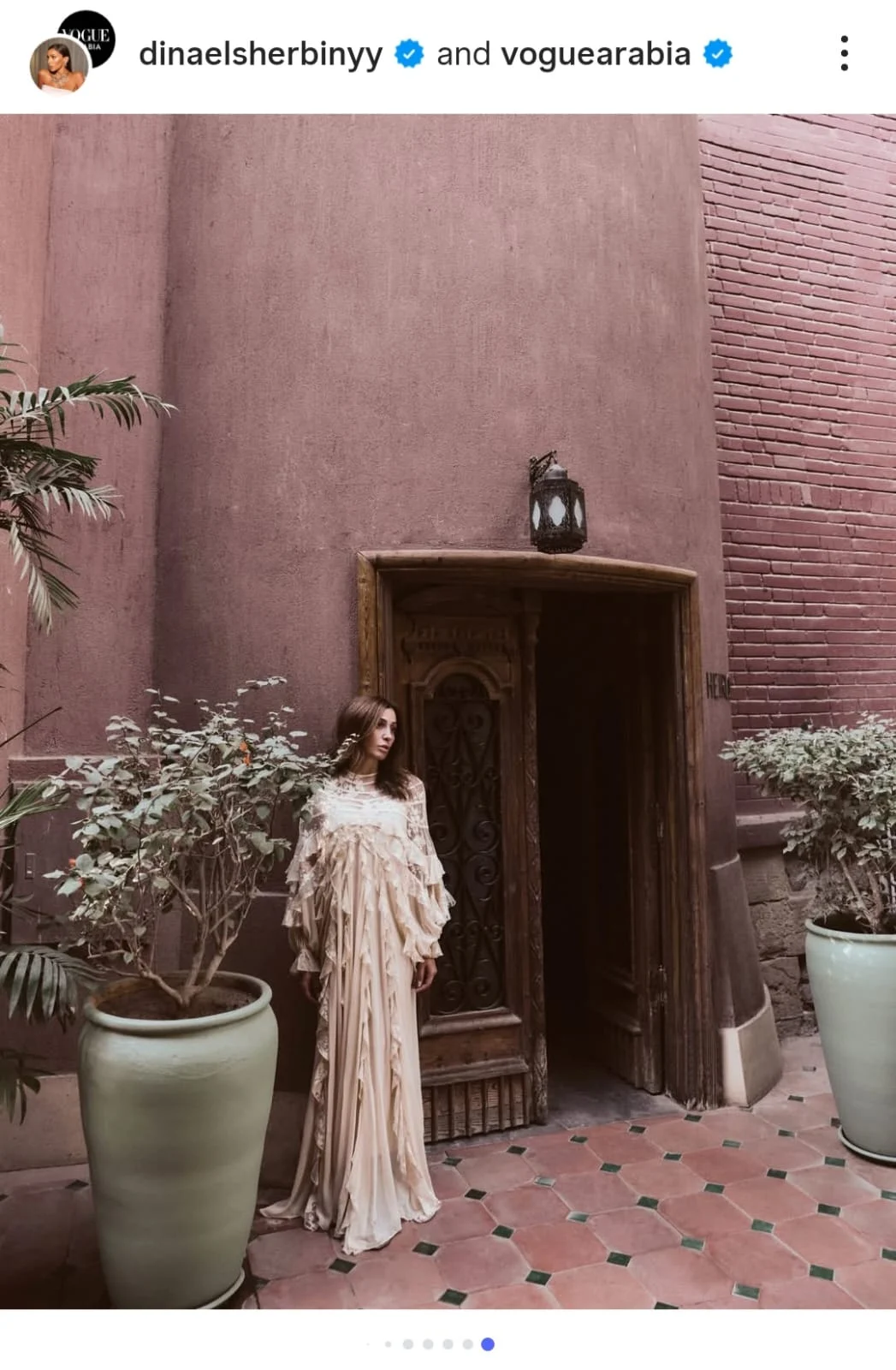 دينا الشربيني (7)