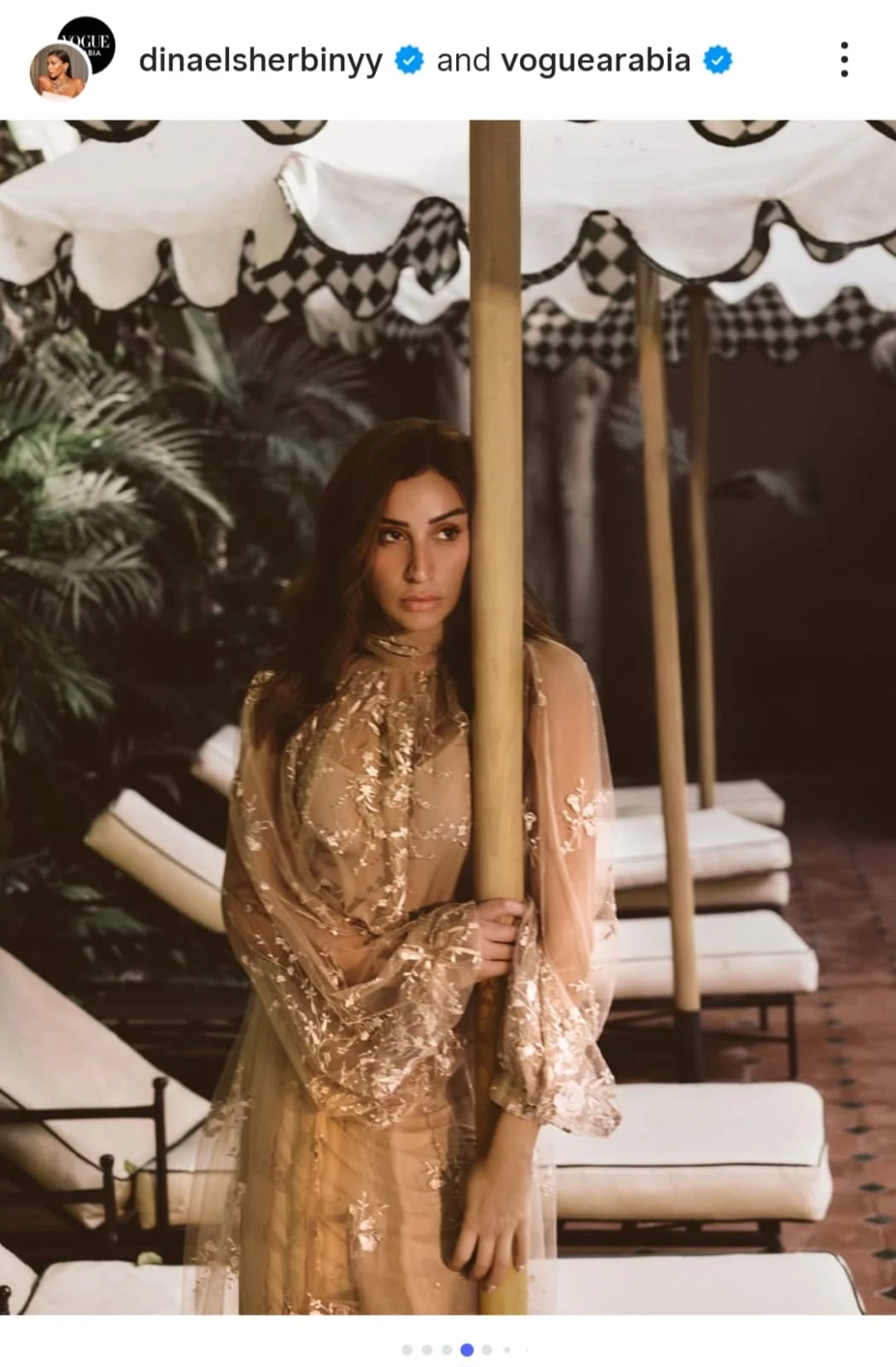 دينا الشربيني (4)