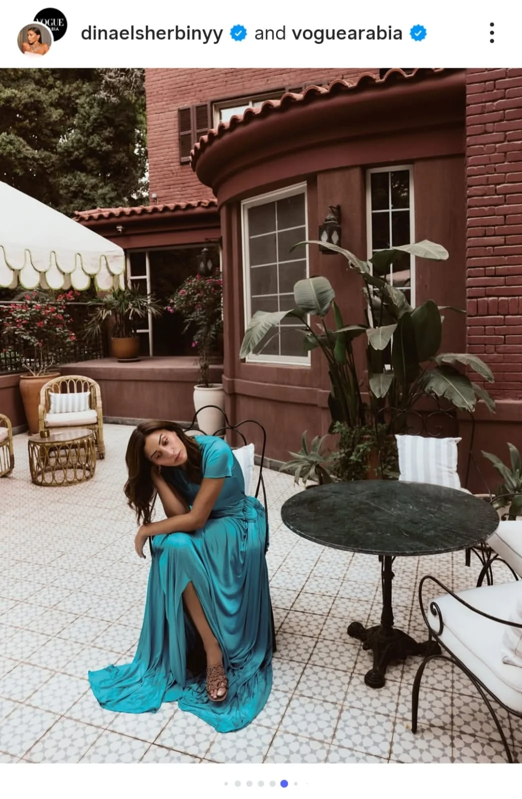 دينا الشربيني (5)