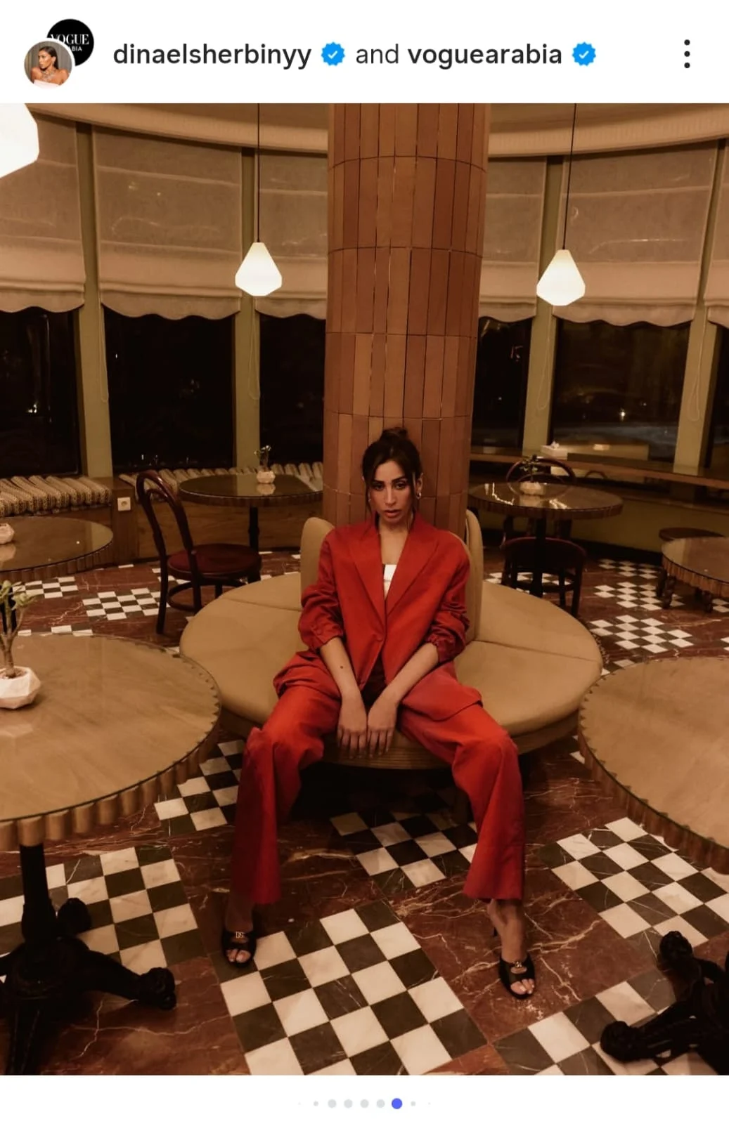 دينا الشربيني (6)