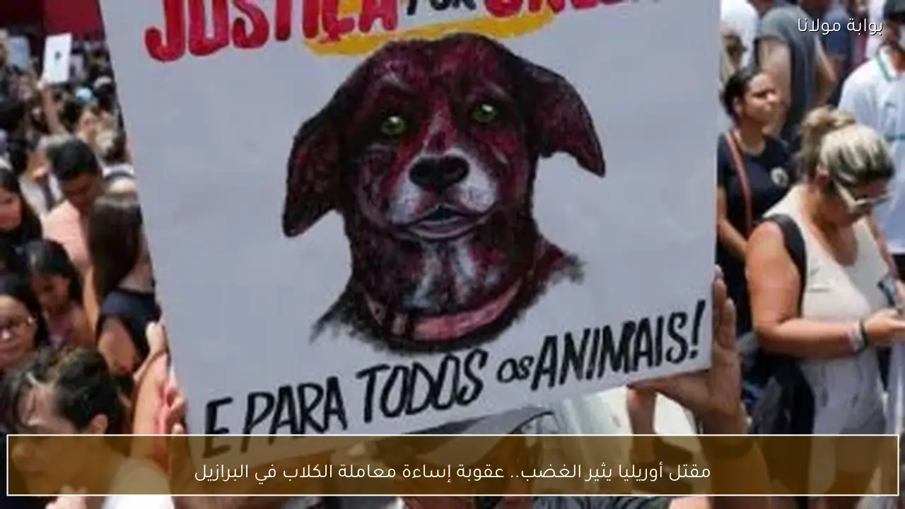مقتل أوريليا يثير الغضب.. عقوبة إساءة معاملة الكلاب في البرازيل