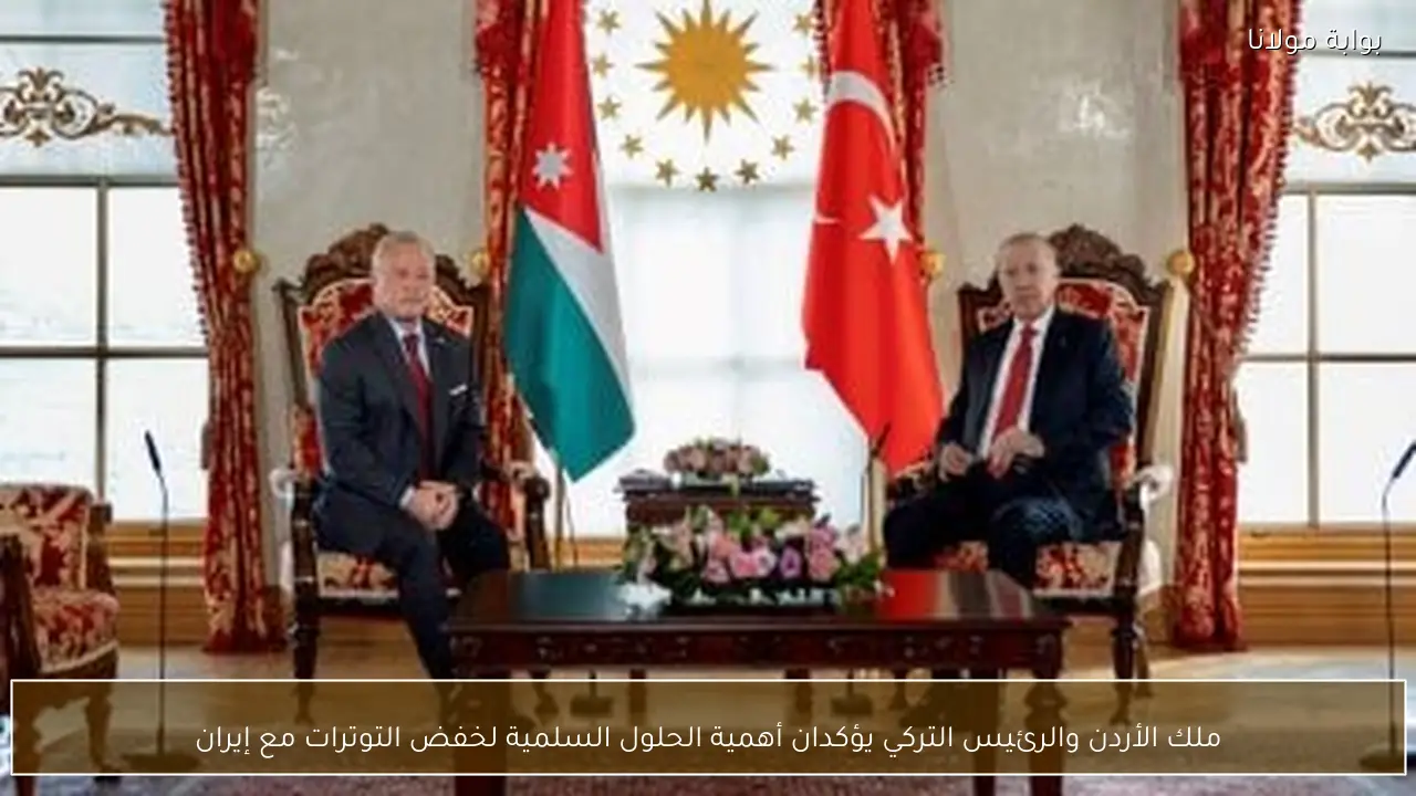 ملك الأردن والرئيس التركي يؤكدان أهمية الحلول السلمية لخفض التوترات مع إيران