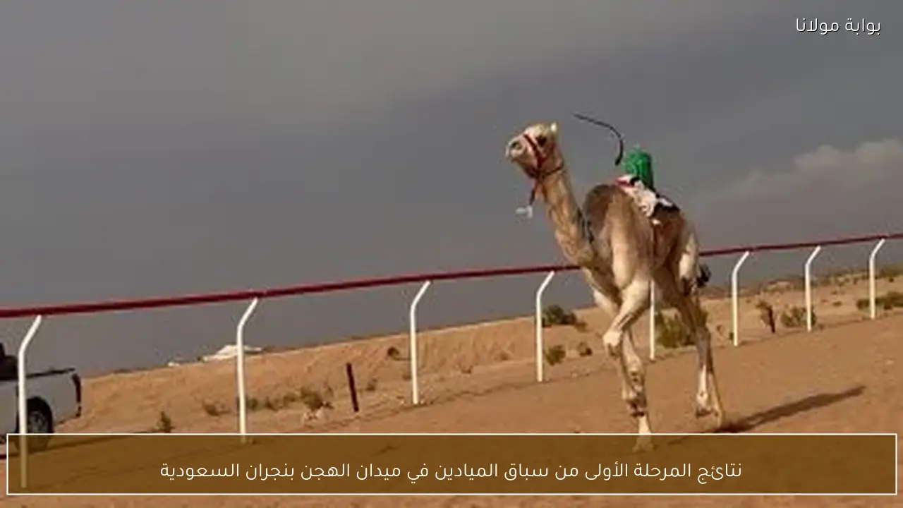 نتائج المرحلة الأولى من سباق الميادين في ميدان الهجن بنجران السعودية