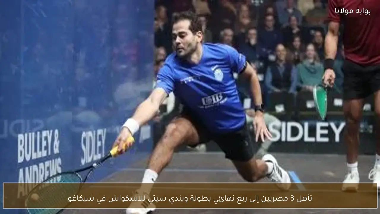 تأهل 3 مصريين إلى ربع نهائي بطولة ويندي سيتي للاسكواش في شيكاغو