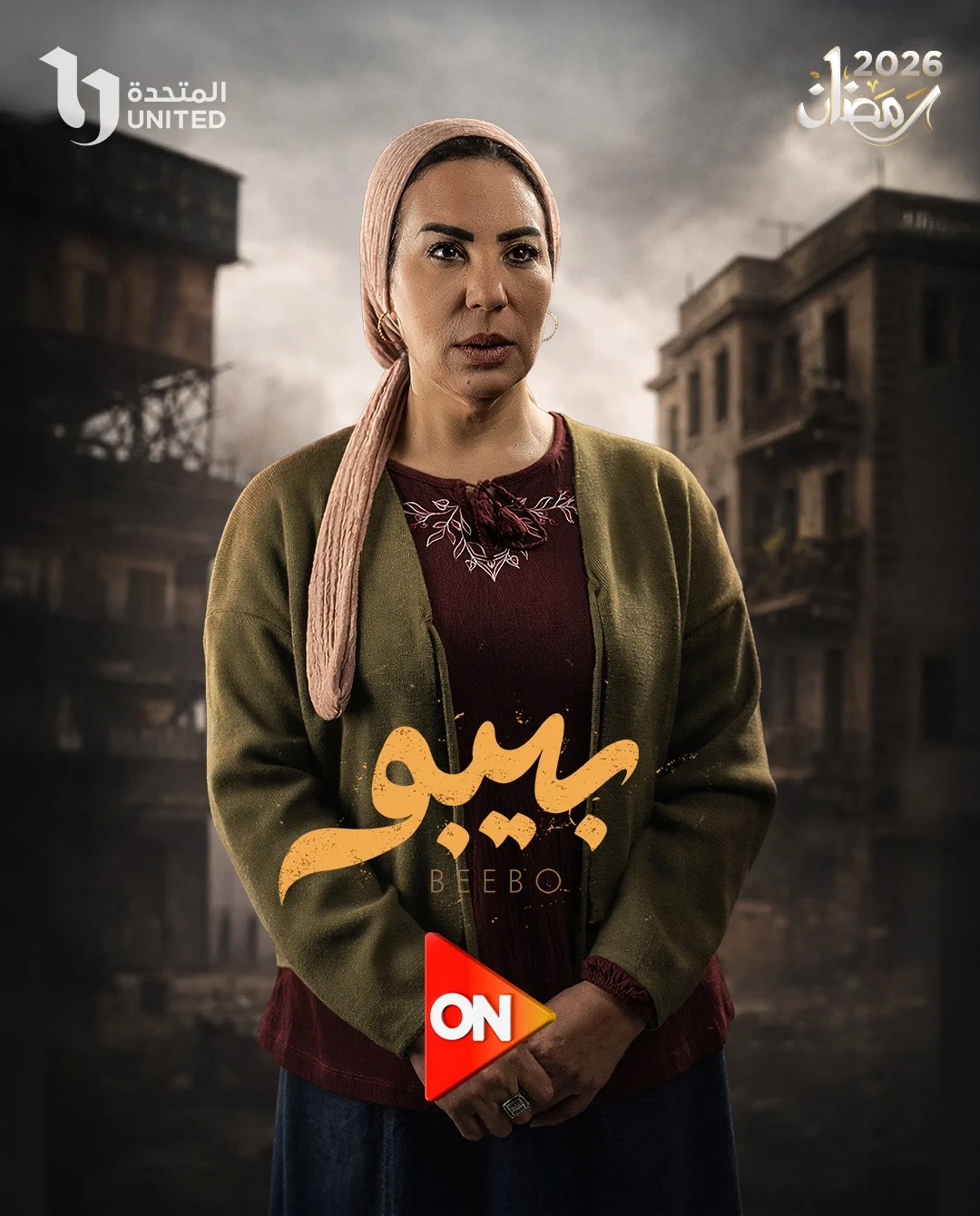 جانب من البوسترات