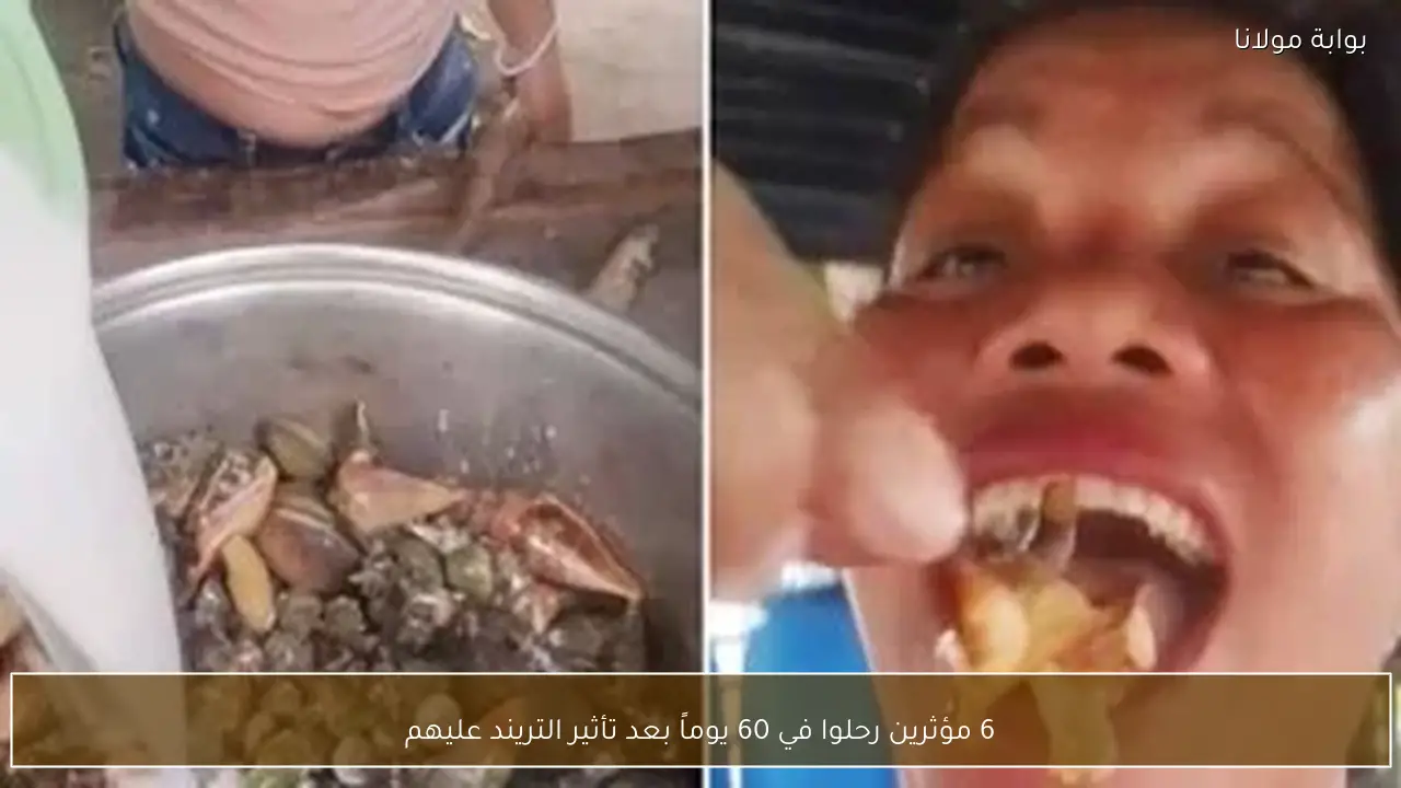 6 مؤثرين رحلوا في 60 يوماً بعد تأثير التريند عليهم