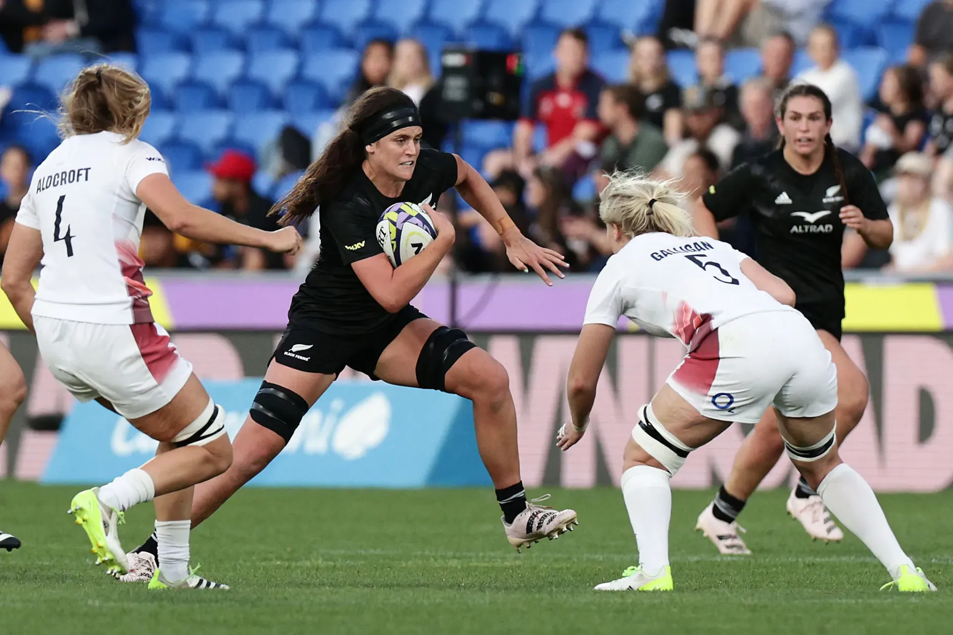 الرجبي الرجبي