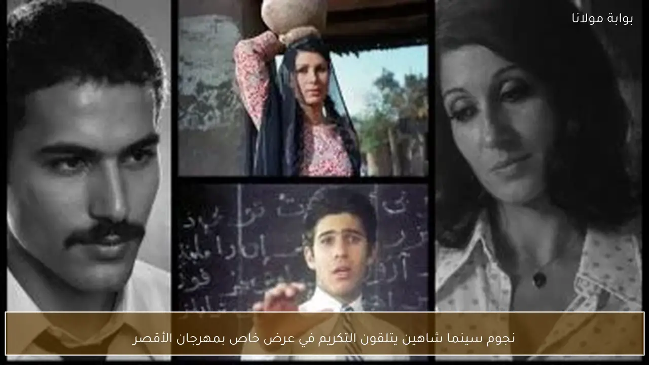 نجوم سينما شاهين يتلقون التكريم في عرض خاص بمهرجان الأقصر