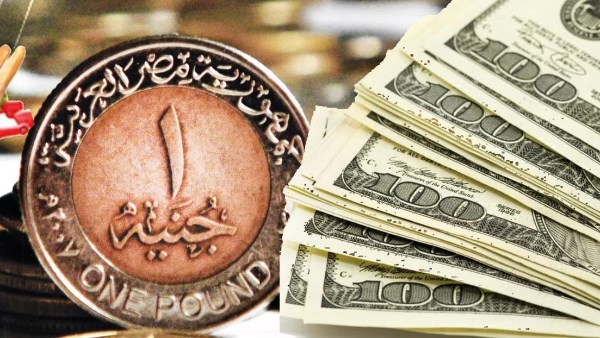 استقرار سعر الدولار اليوم في مصر في ختام التعاملات