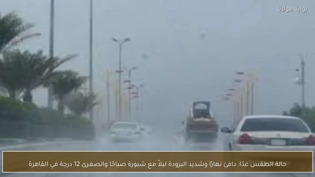 حالة الطقس غدًا: دافئ نهارًا وشديد البرودة ليلاً مع شبورة صباحًا والصغرى 12 درجة في القاهرة