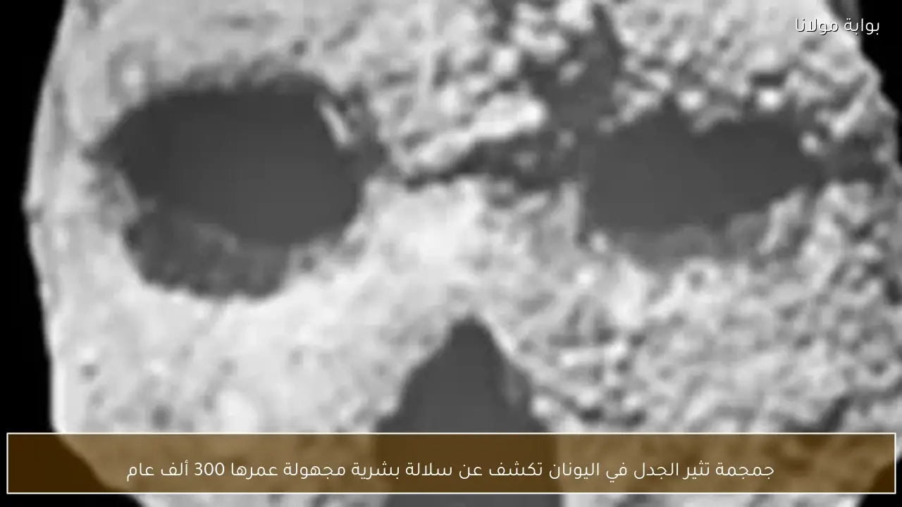 جمجمة تثير الجدل في اليونان تكشف عن سلالة بشرية مجهولة عمرها 300 ألف عام