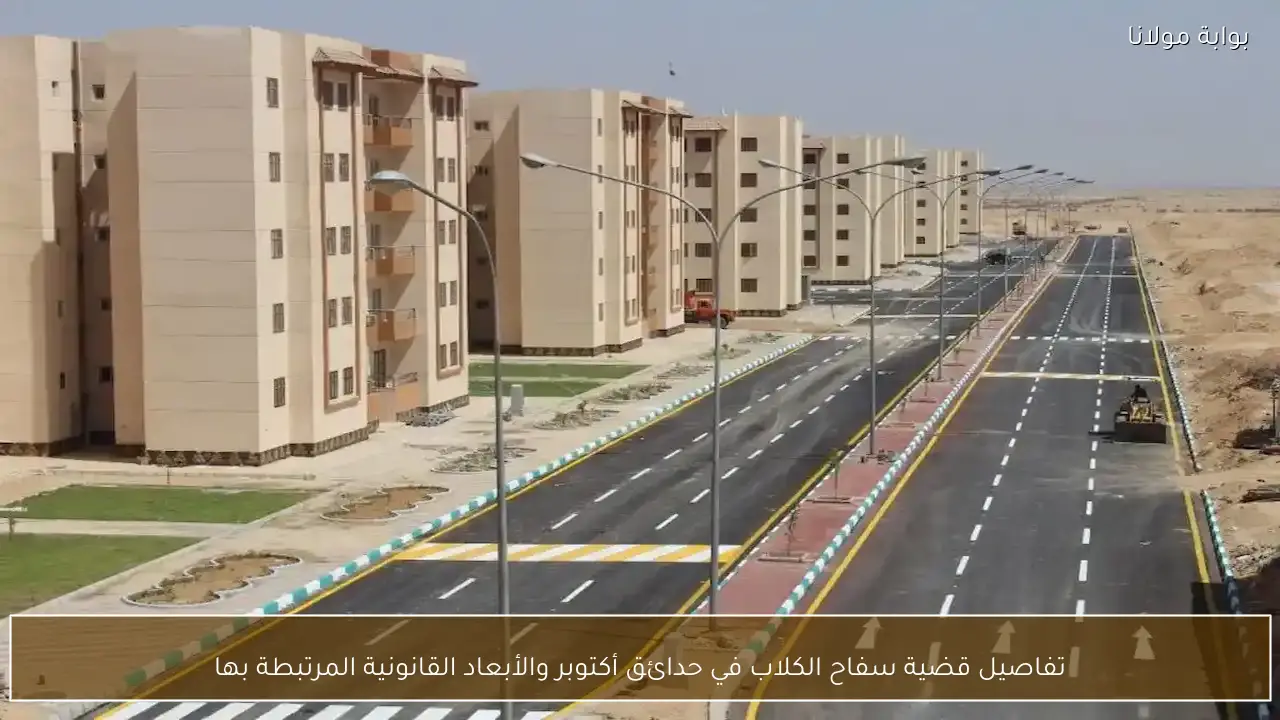 تفاصيل قضية سفاح الكلاب في حدائق أكتوبر والأبعاد القانونية المرتبطة بها