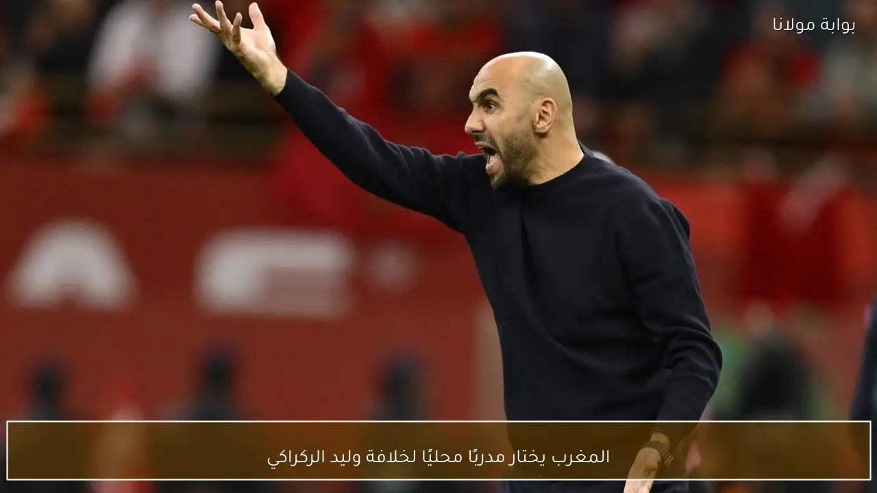 المغرب يختار مدربًا محليًا لخلافة وليد الركراكي