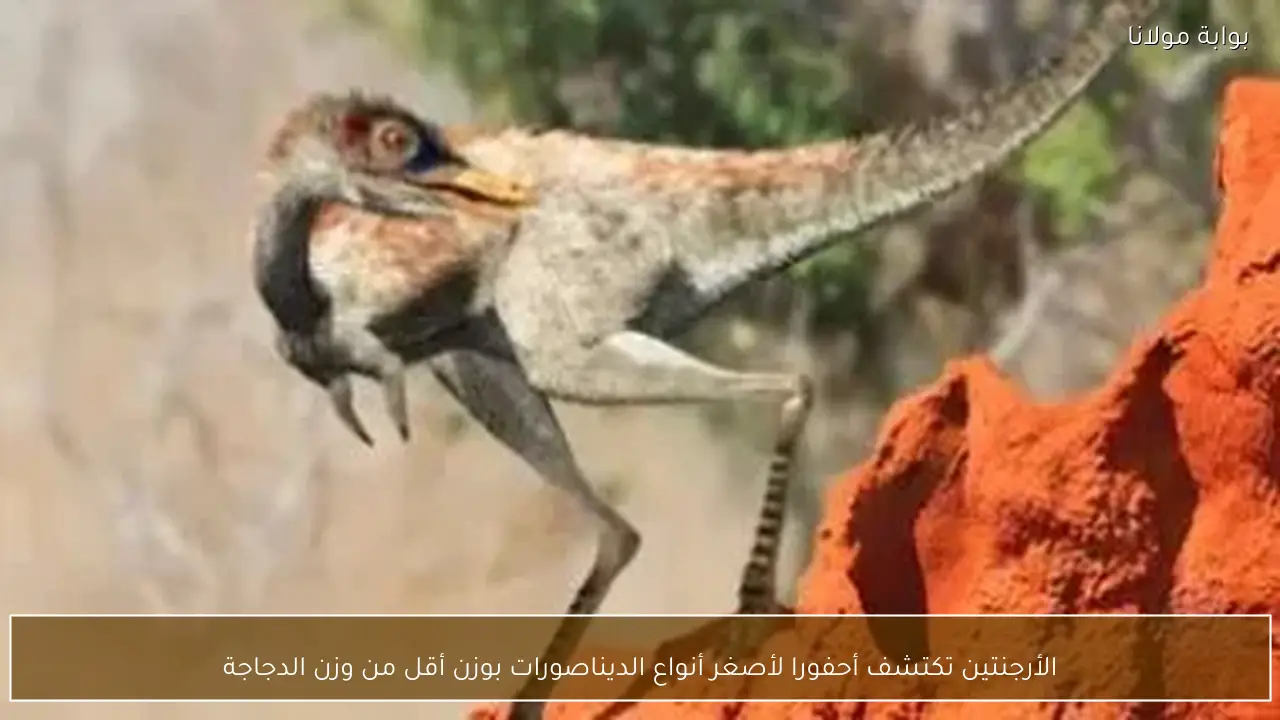 الأرجنتين تكتشف أحفورا لأصغر أنواع الديناصورات بوزن أقل من وزن الدجاجة